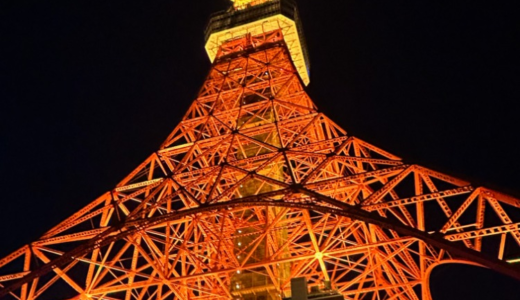 【はとバス】夜の東京観光！　編